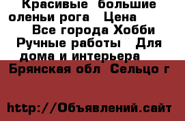 Красивые  большие оленьи рога › Цена ­ 3 000 - Все города Хобби. Ручные работы » Для дома и интерьера   . Брянская обл.,Сельцо г.